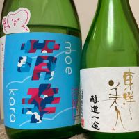 天寶一