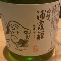 浦霞