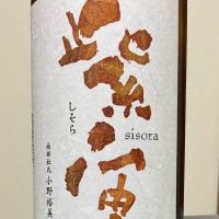 紫宙
