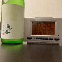 亀の海
