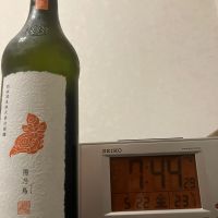 陽乃鳥