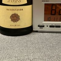 新政