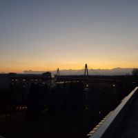 高千代のレビュー by_チョ