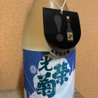 光栄菊