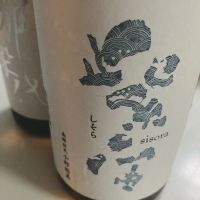 紫宙
