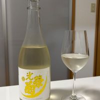 光栄菊