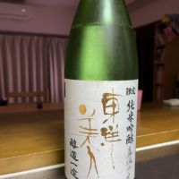 東洋美人