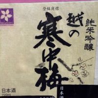 越の寒中梅