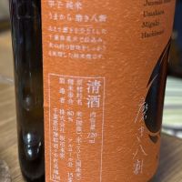 甲子のレビュー by_横浜二郎