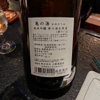 亀の海のレビュー by_Eaves_SHI