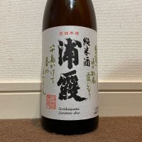 浦霞