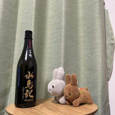 水鳥記のレビュー by_文才のない国語教師