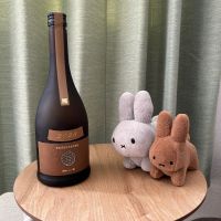 
            新政_
            文才のない国語教師さん