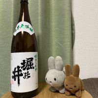 堀の井