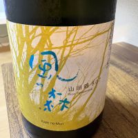 風の森