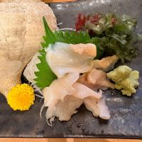 宗玄のレビュー by_masa