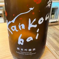 寒紅梅