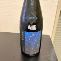 電照菊