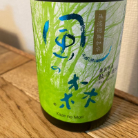
            風の森_
            しおあかさん