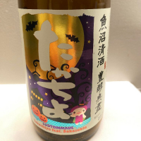 新潟県の酒