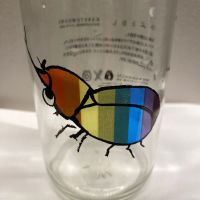 仙禽