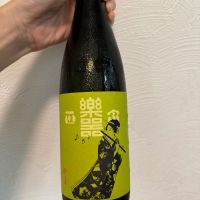 楽器正宗