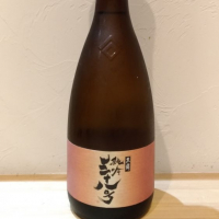 福井県の酒