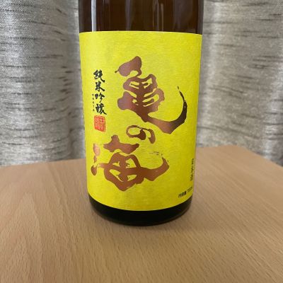 亀の海のレビュー by_squid