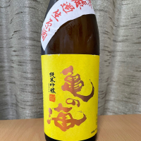 亀の海のレビュー by_squid