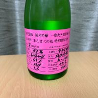 まんさくの花