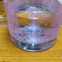 スギっち