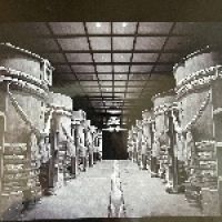 新政教祖株式会社