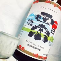 白隠正宗