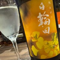 日輪田