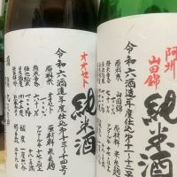 悦凱陣