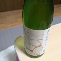 千代の光