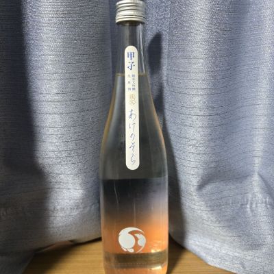 甲子のレビュー by_かわぴー