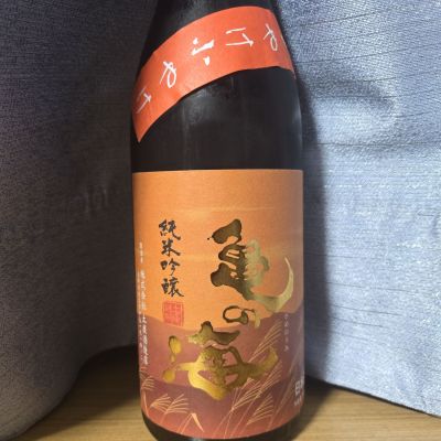 亀の海のレビュー by_かわぴー