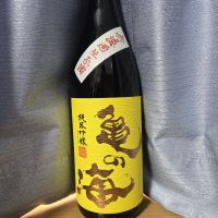亀の海