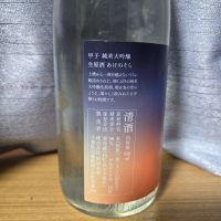 甲子のレビュー by_かわぴー