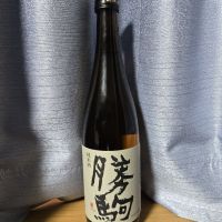 
            勝駒_
            かわぴーさん