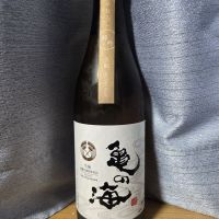 亀の海
