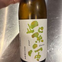 紫宙