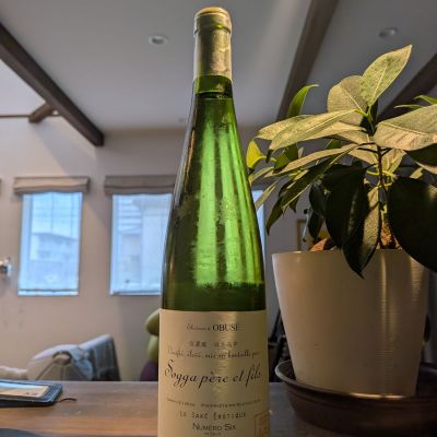 ソガペールエフィスのレビュー by_ゼリヤサイ