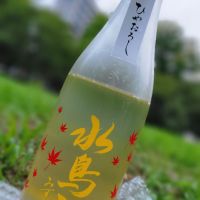 水鳥記