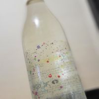 仙禽