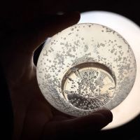 若波のレビュー by_SAKEpanda