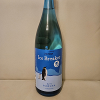 Ice Breaker