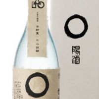 奥丹波
