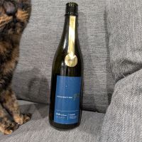 
            OCEAN99_
            がんぼさん